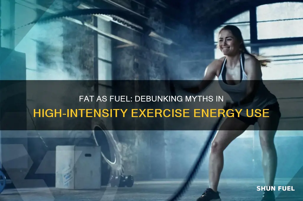 is fat the primary fuel used during high intensity exercise