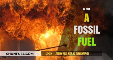 Fire: A Fossil Fuel or Not?