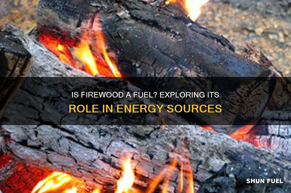 is fire wood a fuel