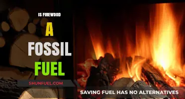 Firewood: Fossil Fuel or Renewable Energy?
