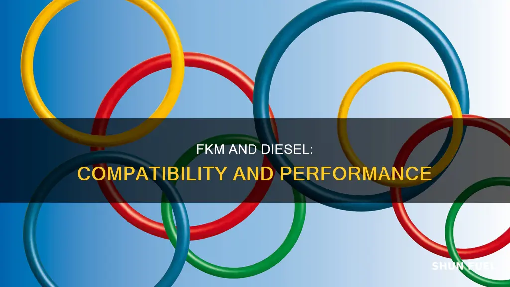 is fkm compatible with diesel fuel