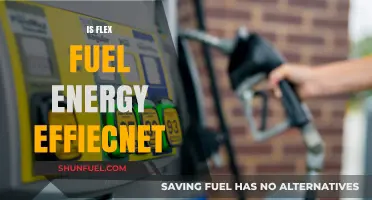 Flex Fuel Efficiency: Debunking Myths and Exploring Energy Savings