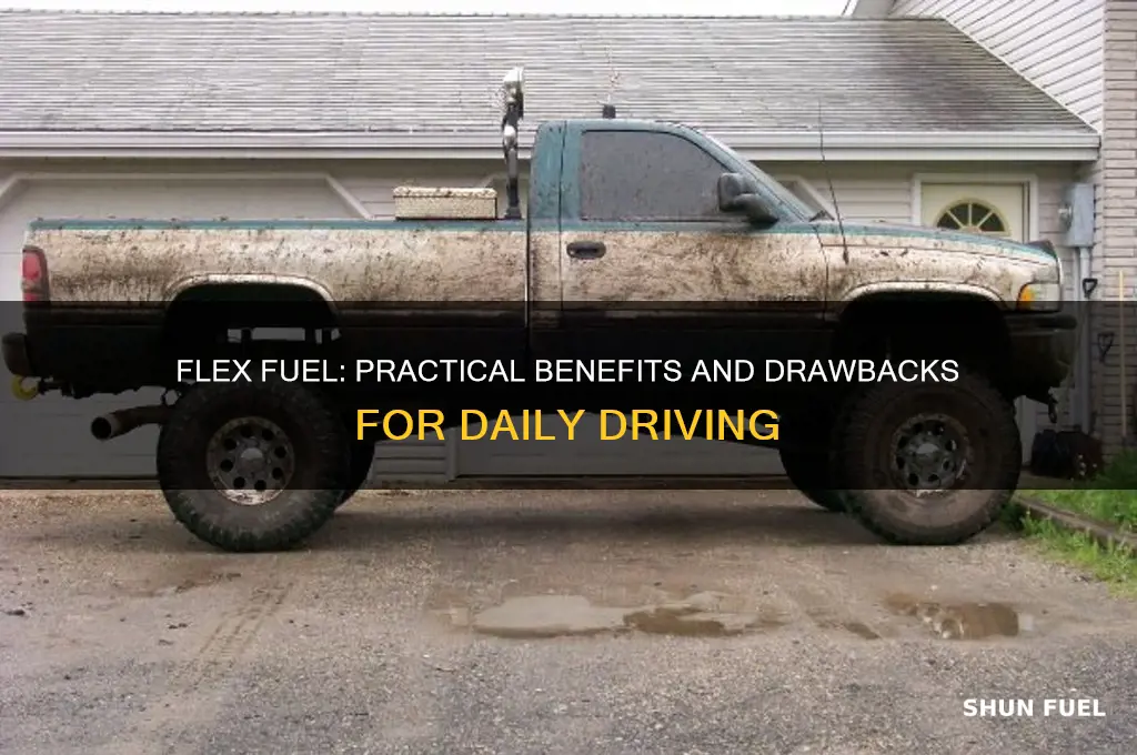 is flex fuel good for everyday use