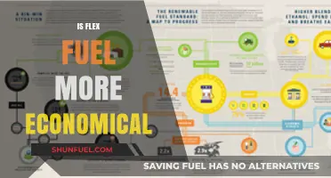 Is Flex Fuel Cost-Effective? Exploring the Economics of Flexible Fuel