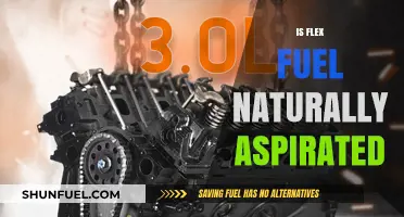 Is Flex Fuel Naturally Aspirated? Exploring Engine Performance and Compatibility
