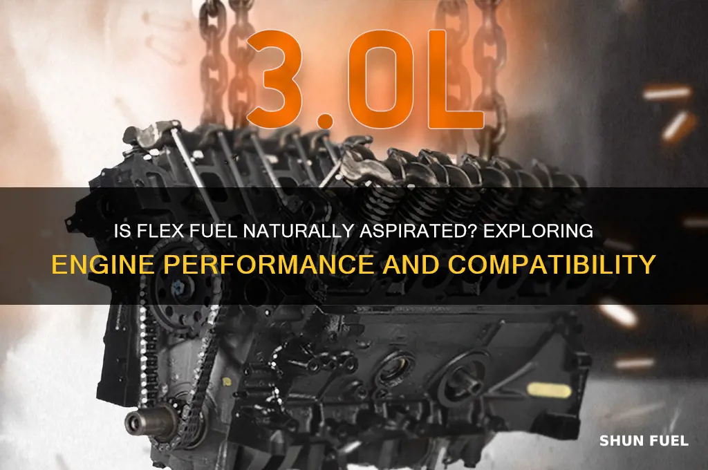 is flex fuel naturally aspirated