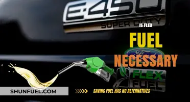 Is Flex Fuel Necessary? Exploring Benefits, Costs, and Environmental Impact