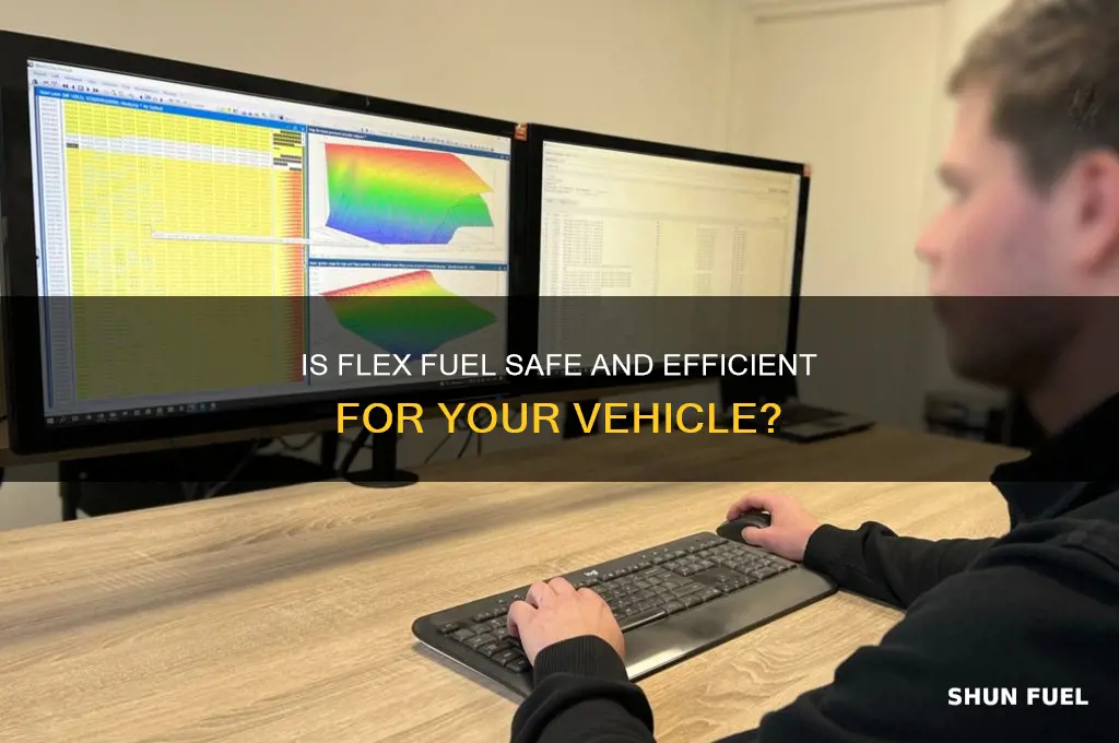 is flex fuel ok to use