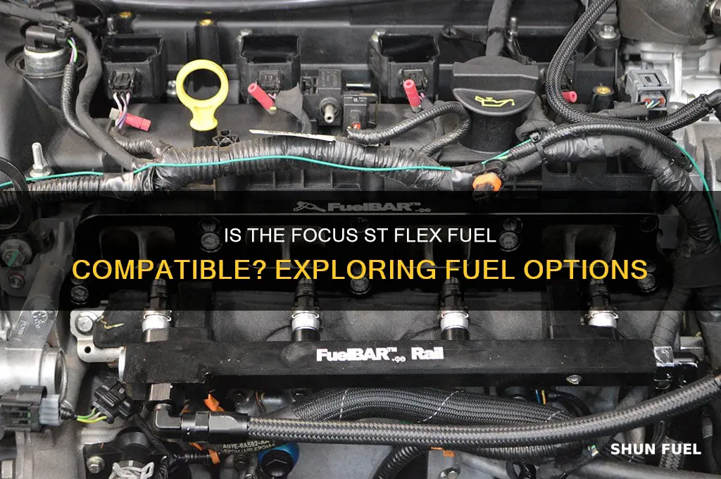 is focus st flex fuel