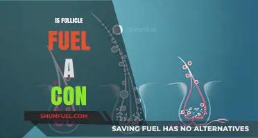 Is Follicle Fuel Legit or a Hair Growth Scam?
