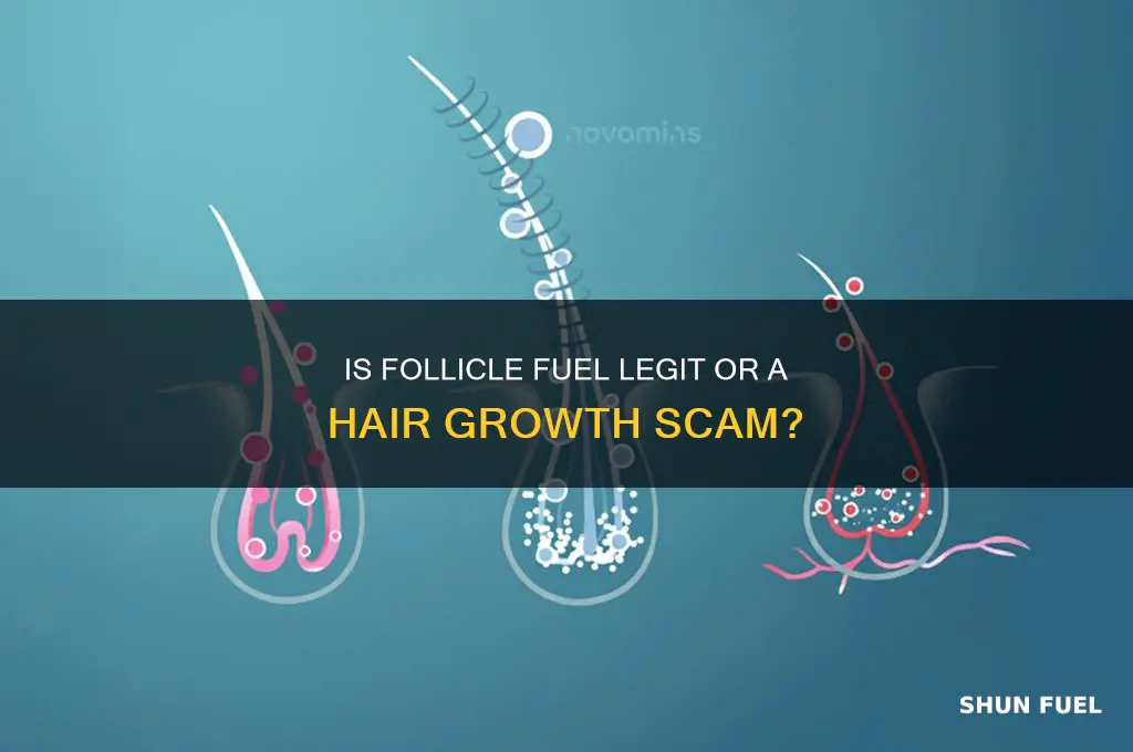 is follicle fuel a con