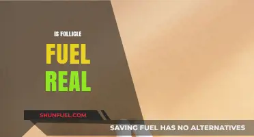 Is Follicle Fuel Legit? Uncovering the Truth About Hair Growth