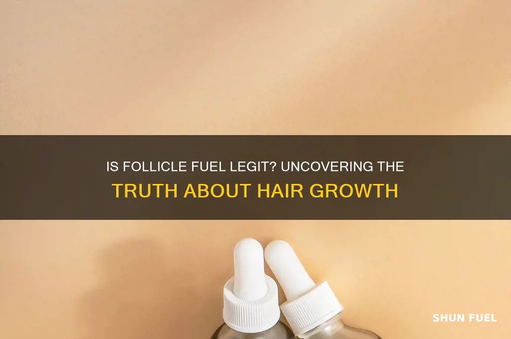 is follicle fuel real