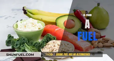 Is Food a Fuel? Exploring Nutrition's Role in Energy and Health
