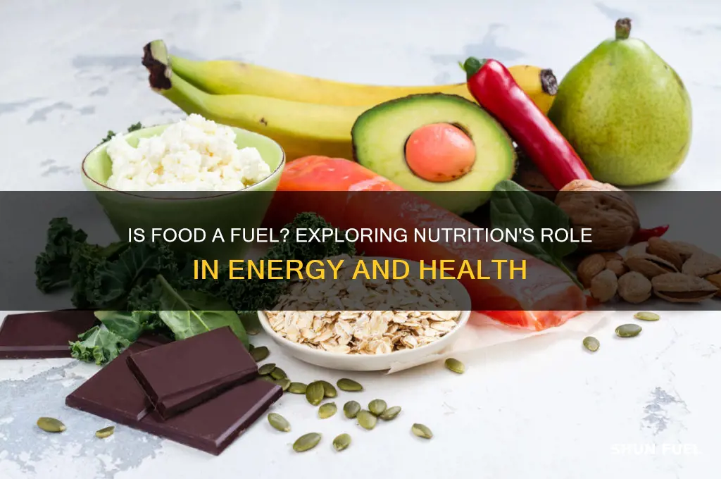 is food a fuel
