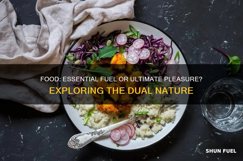 is food fuel or pleasure
