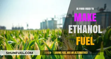 Ethanol Fuel Production: Exploring Food Crops as a Renewable Resource