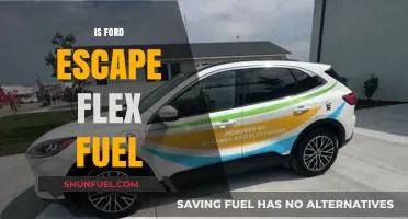 Is the Ford Escape Flex Fuel Compatible? A Comprehensive Guide