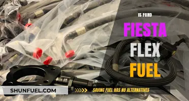 Is the Ford Fiesta Flex Fuel Compatible? Exploring Fuel Options