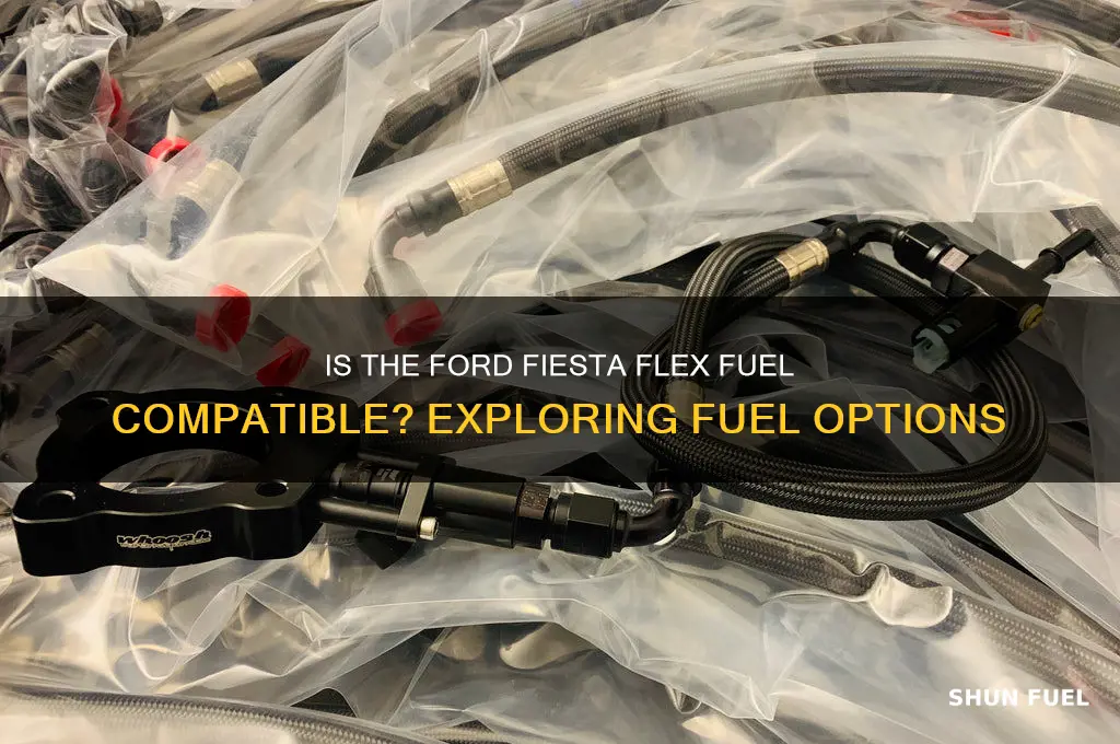 is ford fiesta flex fuel