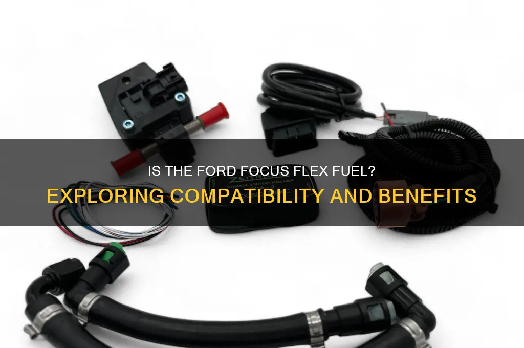 is ford focus flex fuel