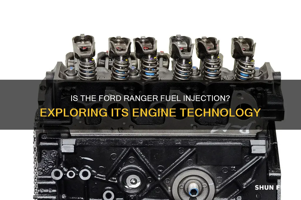 is ford ranger fuel injection