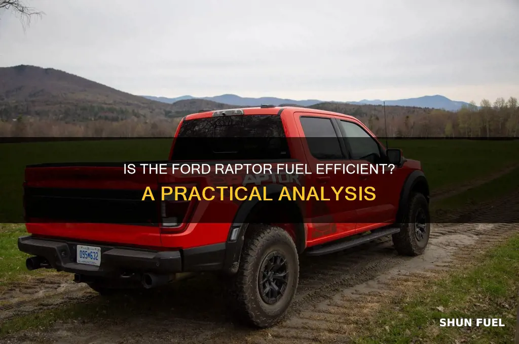 is ford raptor fuel efficient