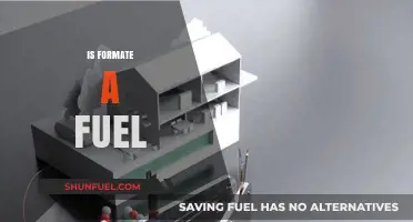 Is Formate a Viable Fuel Source? Exploring Its Potential and Limitations