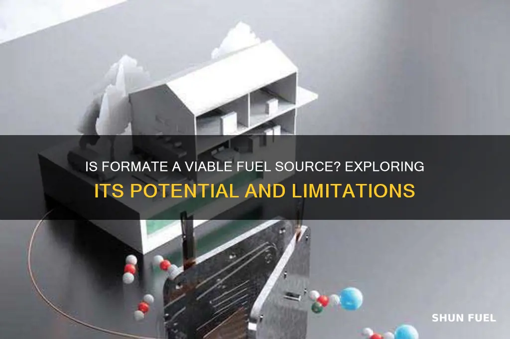 is formate a fuel