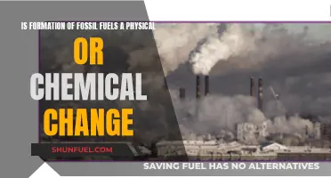 Fossil Fuels: Physical or Chemical Change?