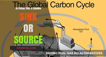Fossil Fuels: Carbon Source or Carbon Sink?