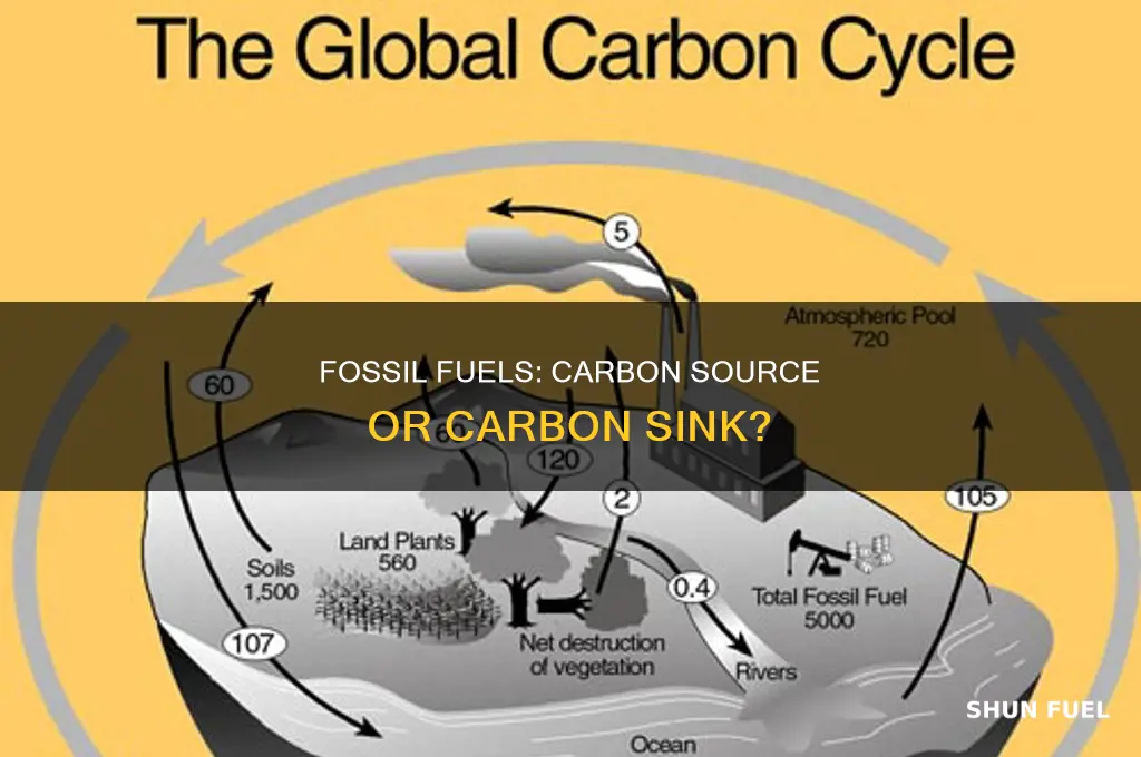 is fossil fuel a carbon sink or source