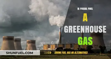 Fossil Fuels: Major Greenhouse Gas Culprits