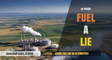 Fossil Fuels: A Lie or Our Future?