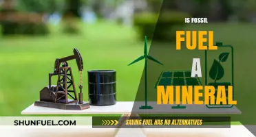 Fossil Fuels: Minerals or Not?