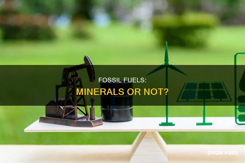 is fossil fuel a mineral