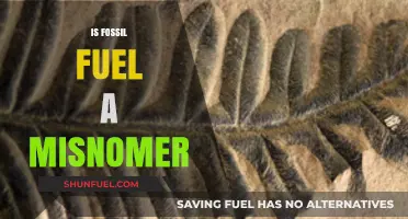 Fossil Fuels: Misnomer or Misunderstood?