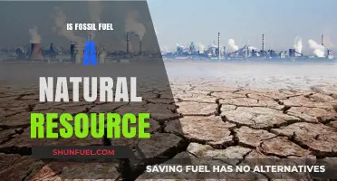 Fossil Fuels: Natural Resources or Environmental Disaster?