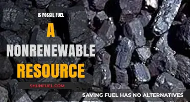 Fossil Fuels: Our Non-Renewable Future?