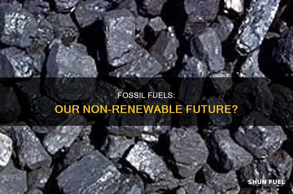 is fossil fuel a nonrenewable resource