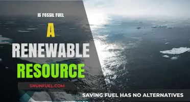 Fossil Fuels: Renewable or Not?