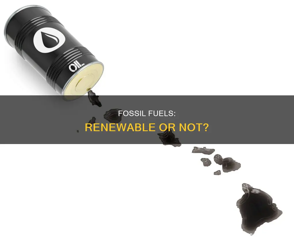 is fossil fuel a renewable resource