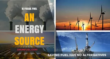 Fossil Fuels: Energy Source or Environmental Disaster?