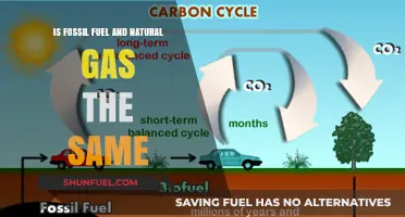 Fossil Fuel and Natural Gas: What's the Difference?