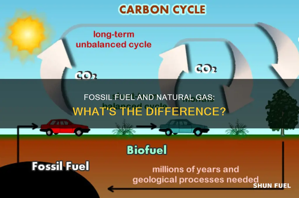 is fossil fuel and natural gas the same