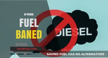 Fossil Fuels: Banned or Not?