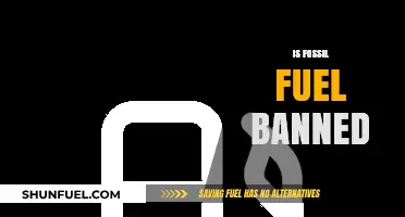 Fossil Fuels: Banned or Not?