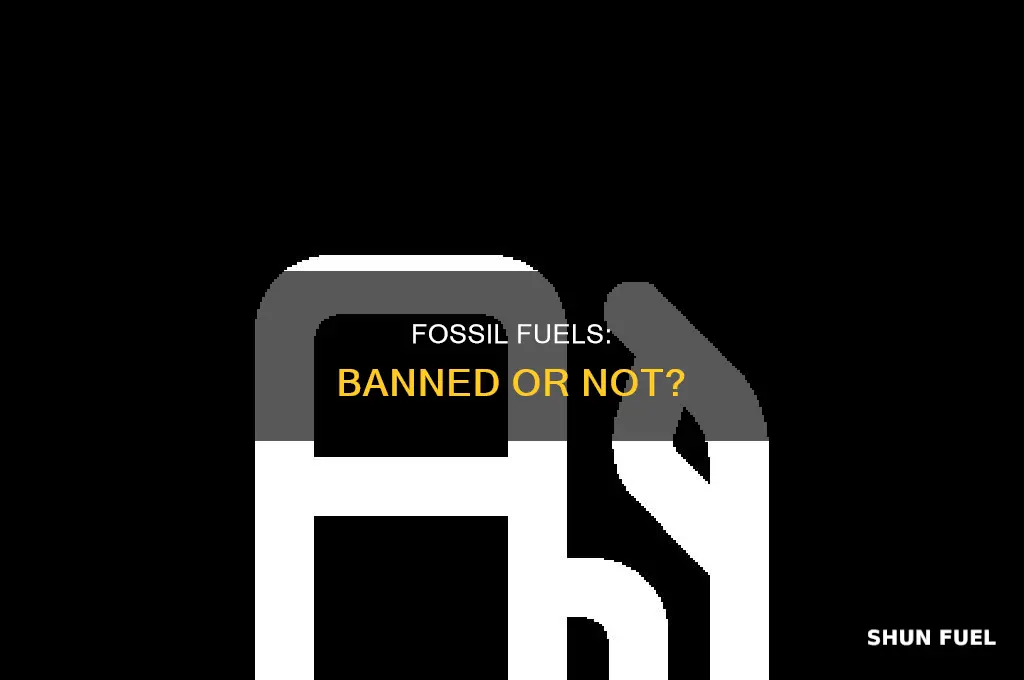 is fossil fuel banned
