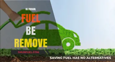 The End of Fossil Fuels: A Necessary Transition