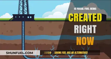 The Mystery of Fossil Fuel Origins